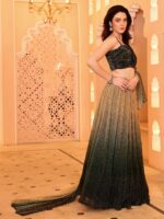 Embellished Sequinned Ready to Wear Lehenga & Unstitched Blouse With Dupatta - Image 3